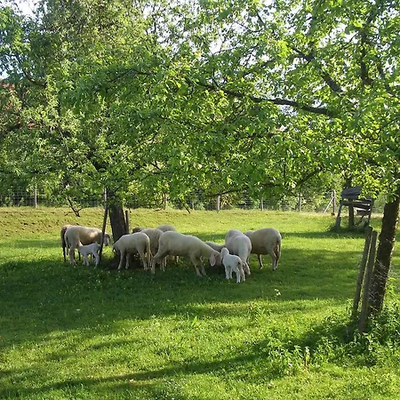 Apartman Gut Grasleiten